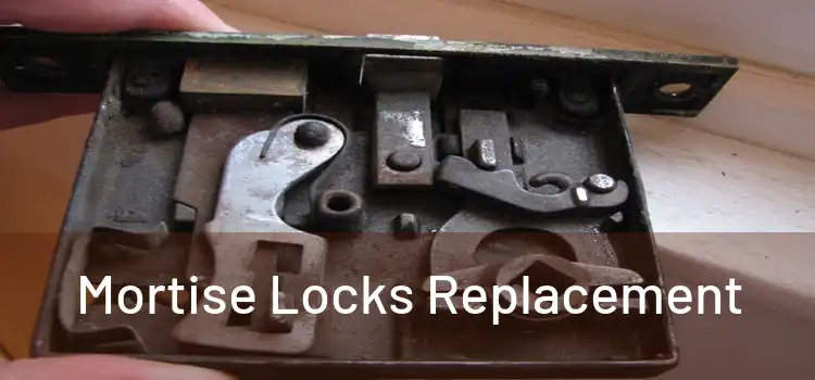 Mortise Locks Replacement